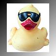duckcool.jpg