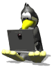 penguin_type_labtop_md_wht.gif