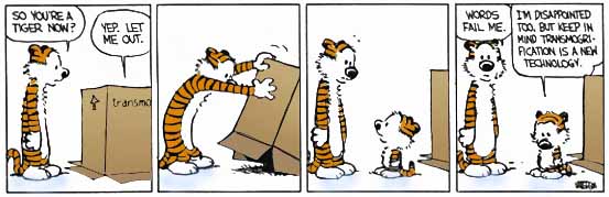 tigertransmo.jpg