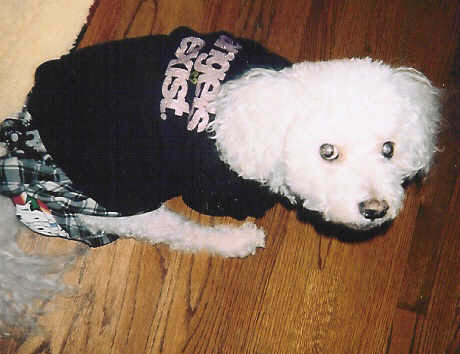 webster11.jpg
